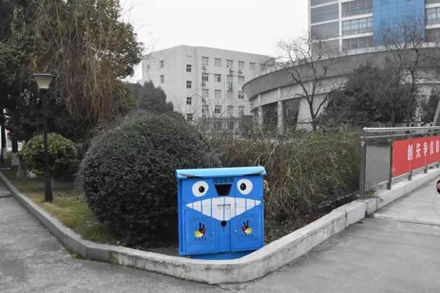 宁波学生设计了智能分类黄瓜软件在线观看箱